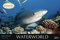 Waterworld - Kalender 2022 - Panorama-Format - Korsch-Verlag - Fotokalender - Fotokunst - 58 cm x 39 cm