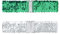 Allegra K Breite Taillengürtel mit Glitzer, Interlock-Schnallen, Pailletten-Dekor, dehnbare Gürtel, 2 Stück Grün 60cm/23.62