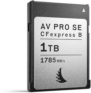Angelbird - AV PRO CFexpress B SE - 1 TB - CFexpress Type B Memory Card - All-Rounder Capacity - for Advanced Video and Photo Content Production - up to 12K+ RAW