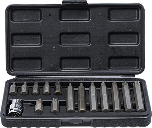 BGS Diy 5040 | Juego de puntas | entrada 10 mm (3/8) | perfil en T (para Torx) | 15 piezas