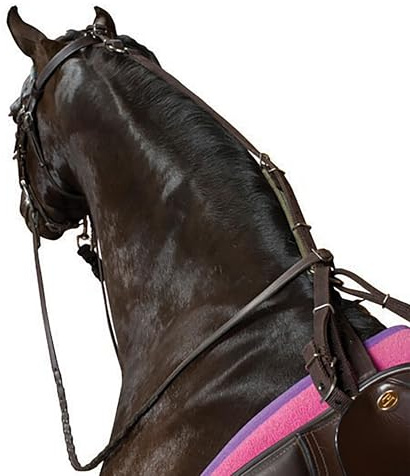 Kincade Poly Anti-Grazing Strap, Black