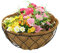 Wankd Kokoseinlage, Ersatzeinlage Hanging Basket Ø 14inch, Kokoseinlage, Hängekörbchen, Naturkorb, Pflanzeinsatz für Hängeampel Hängekorb,1PCS