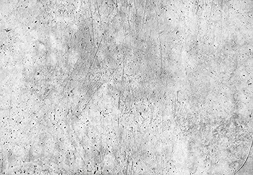 Fototapete Betonoptik grau Industrie Look modern | 3,66 m x 2,54 m | Grau