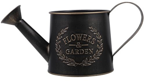 Abaodam Regadera De Hierro Galvanizado para Jardín y De Interior Portátil Cabezal De Riego para Suculentas y Flores Color Negro