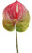 Fiori artificiali di Anthurium, fiori finti in seta, bouquet decorativo per la casa e foglie verdi per feste di nozze (fucsia)
