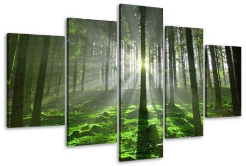 Visario Bild auf Leinwand 100 cm Nr 6406 Wald fertig gerahmte Bilder 5 Teile Marke original Leinwandbilder