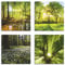 ARTLAND Wanddeko Leinwand Bilder Natur Set 4 tlg. je 40x40 cm Quadratisch Wandbilder Landschaft Wald Bach Frühling Sonne Baum K2FR