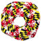 Tradition Scarves Schal mit Maryland-Flagge
