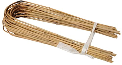 DIXIE STORE Gebogener Bambus Bambusstifte Natürliche - für Pflanzen Dekoratives Element Rankhilfe Clematis Efeu oder Orchideen Pflanzstäbe Stäbe - Größe 75 cm 8/10 mm Inhalt 100 Stück