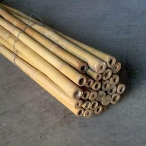 Pag Canne di bamboo ⌀ 20/22 mm Altezza 1500 mm | Tutori per Orto, Giardino e Arredo | Sostegno per Ortaggi e Piante rampicanti | 50 pezzi