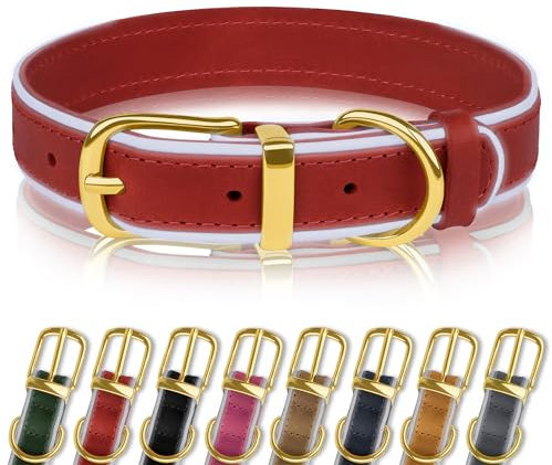 OOPSDOGGY Collar Reflectante de Cuero Genuino para Perro, Collares Acolchados Suaves para Perros de Raza pequeña, Mediana y Grande, 4 tamaños, 8 Colores (Rojo, 19-24)