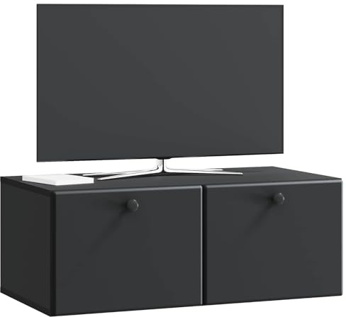 vidaXL Wandmontierter TV-Schrank 78,5 x 41 x 30 cm Schwarz, Wohnzimmeraufbewahrung, moderner Schrank, Wand-TV-Ständer, rechteckiges Design, viel Platz, praktische Möbel