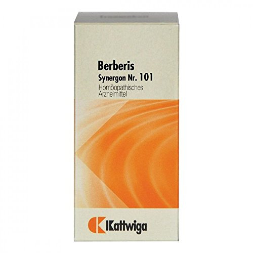 Synergon Komplex 101 Berberis Tabletten