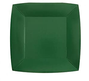 Santex - 10 ASSIETTES CARTON BIO CARRÉES 18CM VERT FONÇÉ