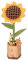 Rolife 3D Puzzle en Bois Bouquet de Fleurs en Bois Artisanat Modèle pour Adulte Fleur Eternelle Cadeau Romantique pour Femme Noël/Anniversaire/Saint Valentin/Fête des Mères (Tournesol)