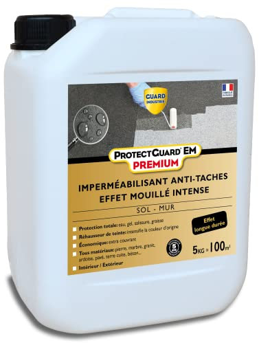 GUARD INDUSTRIE - Protectguard Em Premium Effet Mouillé Imperméabilisant Hydrofuge, Ravive Couleur Protection Contre L’Eau Et Les Taches Fabrication Française Bidon 2 L Traite 45M2
