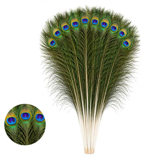 WedDecor Natural Peacock Tail Feathers, Large, 27 - 31, 10pcs | Beautiful Feathers for for Vase, DIY, Kid's Arts and Crafts, Projects, Carnival Dress-Up Home Wedding Decorations