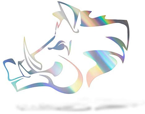 Erreinge Aufkleber prespaced Holographic 12Cm - Eber SX Off Road 4X4 - Vinyl-Aufkleber Aufkleber Aufkleber Mural Laptop Auto Moto Helm Camper