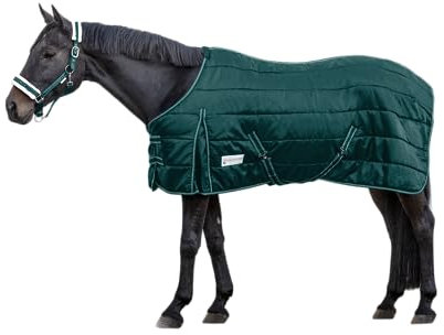 WALDHAUSEN Economic Stalldecke, 100 g, 125 cm, grün