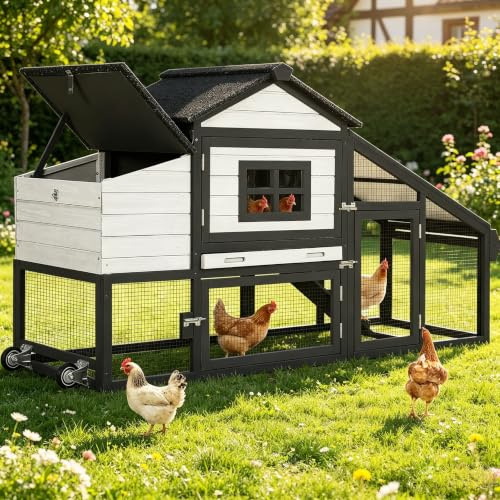 Aivituvin Hühnerstall aus Holz, für den Außenbereich, mit Nistkasten, Hühnerstall und Kaninchenstall, wasserfest, mit UV-Panel (Schwarz)