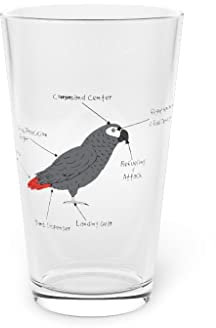 Beer Glass Pint 16oz Novelty African Grey Parrot Anatomy Graphic 16oz