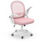 naspaluro Sedia Ufficio, Sedia Scrivania con Supporto Lombare, Poltrona Ufficio in Rete Traspirante, Sedia da Ufficio Ergonomica Braccioli e Altezza Regolabili, Rosa