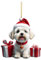 Weihnachtsbaumschmuck Deko 2D-Weihnachtshundeschmuck Acryl, Weihnachtsbaumschmuck, Weihnachtshundeschmuck, Hund, Acryl, Doppeldruck, Weihnachten, weißer Elefant, Geschenk, (J, One Size)