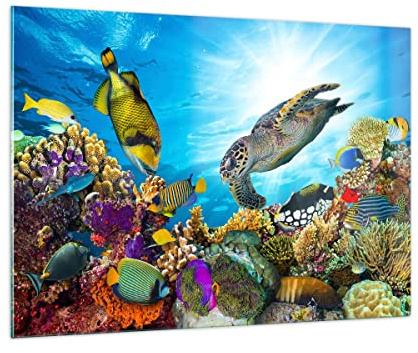 ARTTOR Glasbild 100x70cm Wandbild Glasdruck Reisen Tiere - 3704