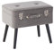 Moderner Hocker mit Stauraum grau Samtstoff Kofferhocker Mallard