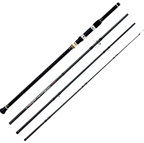 Berrypro Surf Spinnrute Meeresrute Graphit Spinnrute (2,4 m, 3 m, 3 m, 3 m, 3 m, 3 m, 3 m, 3 m, 3 m, 4 Stück)