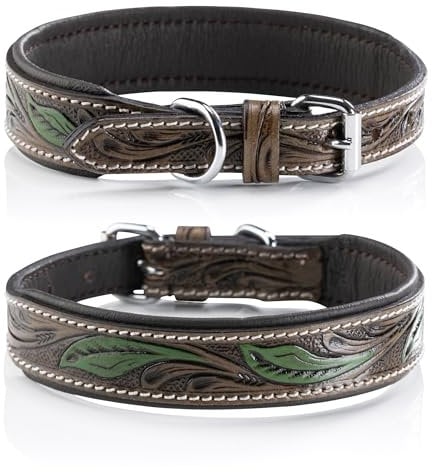 Jack & Russell Unikat Hundehalsband aus Leder, Hand-geschnitzt & gepolstert– Halsband aus Büffelleder, Hunde Lederhalsband braun/dunkelgrün Hailey (L (40,0-49,5cm))