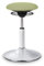 BALIMO Classic - Bürohocker - ergonomischer Sitzhocker - Hocker mit frei beweglicher Sitzfläche - Rücken-Trainer - Sitztrainer - Bewegungshocker - Standfuß Silber gebürstet (Sitzbezug Grün)