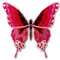 Aufnäher, bestickt, Design: Schmetterling, zum Aufbügeln oder Aufnähen, Rosa