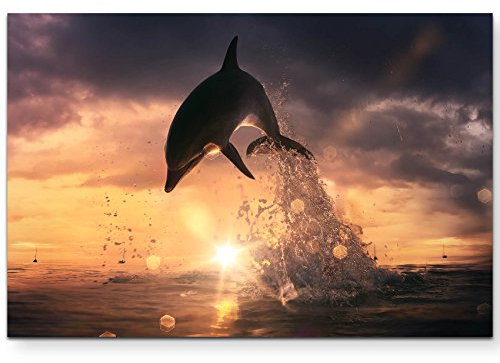 Paul Sinus Art Leinwandbilder | Bilder Leinwand 120x80cm Springender Delfin im Sonnenuntergang