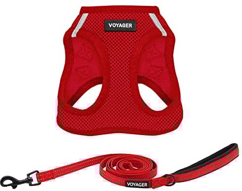 Best Pet Supplies Voyager Step-in Air, Allwetter-Mesh-Geschirr und reflektierendes Hundegeschirr, 1,52 m, Kombination mit Neopren-Griff, für kleine, mittelgroße und große Rassen Welpen –