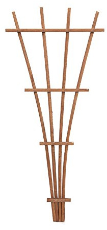 Panacea 83737 48 Brown 6 Count Wood Fan Trellis