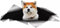 ROMOER Autoaufkleber Und Abziehbilder, 23 cm, Akita Inu Hund, Haustier, Autoaufkleber, 3D-Autodekoration, Zerrissenes Metall, Reflektierender Aufkleber, Wasserdicht, Auto-Styling (2 Stück)