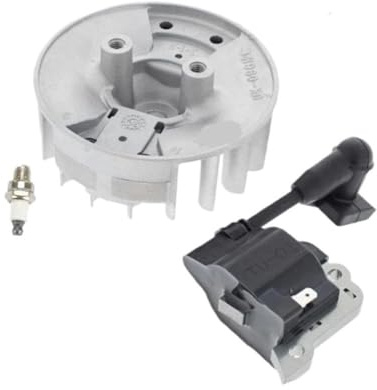 XUZHEOUZPJ Piezas de reparación Módulo de Bobina de Encendido del Volante GX25, Kit de bujías y Cables, Compatible con el minimotor desbrozadora GX25N HHT25S FG110(Sets)
