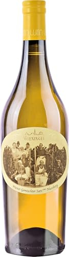 Wieninger Nussberg Wiener Gemischter Satz DAC trocken, BIO-Weisswein aus Wien Österreich (1 x 0.75 l)