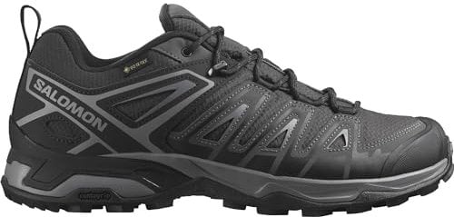 Salomon Herren X Ultra Pioneer Gore-tex Hiking Shoe, Phantom Black Quiet Shade, 40 2/3 EU