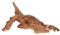 FOMIYES Aquarium versunkenes Holz Aquarium Mangrovenholz Natürliches Treibholz für die Totholz für Aquarien Totholz für Aquarium hölzern Dekorationen Luft Ananas Totes Holz Ornamente