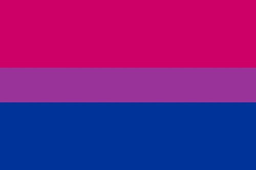 Bi-Pride Flagge, 152 x 91 cm