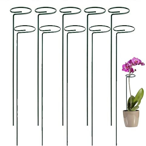 MiXXAR - Juego de 10 estacas de Soporte para Plantas de Acero para jardín de un Solo Tallo de Apoyo para Plantas de Soporte para Plantas de Cultivo de Metal pequeño para macetas de jardín
