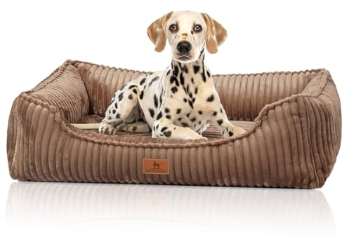 Knuffelwuff orthopädisches Hundebett aus Breitcord Sedona XXL 120 x 85cm Braun | Abnehmbarer Bezug | waschbar | für große, mittelgroße und kleine Hunde