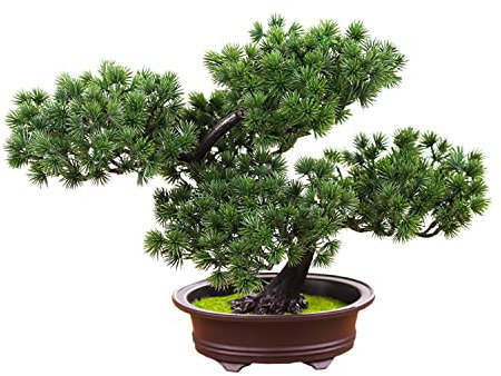 Verve Jelly Künstliche Pflanzen kleine künstliche Bonsai Baum in Topf Kunstspopfkiefernpflanzen Plastik gefälschte Hauspflanzen Zen Desktop Grüne Dekor für Innenhome Office Decor