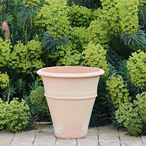 Palatina Werkstatt Pot de fleurs Yucca en terre cuite, 30 cm, 100 % fabriqué à la main, pièce unique, décorez votre maison avec ce pot de fleurs résistant à l'hiver pour l'intérieur et l'extérieur