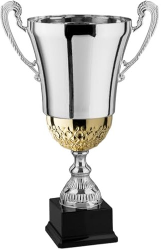 Hole Gadget | Premiazioni Personalizzate di qualità con Manici e Inserto Oro, Coppa Trofeo Personalizzabile per Eventi e Fantacalcio, Calcio, Padel. Coppe e Trofei Varie Misure (38 cm)