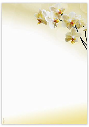 Designpapier Orchidee hell DP850 – 50 Blatt Briefpapier – Hochwertiges Motivpapier Geburtstag, Einladung, Brief, Jubiläum, Liebesbrief – Laser- & Inkjetdrucker geeignet – Druckerpapier A4 90g/m²