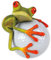 younikat Sticker Frosch Golfball I 10 x 11 cm groß I Fahrzeug-Aufkleber wetterfest Auto-Aufkleber Motorrad Laptop für Golfer Golf-Spieler I kfz012