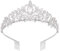 Vofler Kristall Tiara Krone silber Kopfschmuck für Damen kleine Mädchen Brautschmuck Prinzessin Geburtstag Hochzeit Festzug Abschlussball Party